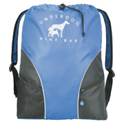 Avenues Backpack Cinch