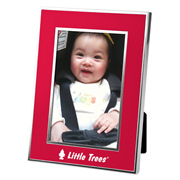 4x6 Chrome Border Picture Frame