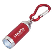 Mini Aluminum LED Light With Matching Carabiner