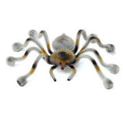 Tarantula Bug Bender