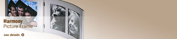 Hinged Photo Frames