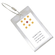 Globe-Trotter Luggage Tag