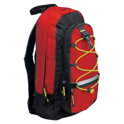 Slim Vertical Backpack