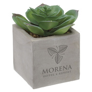 Mini Faux Potted Succulent