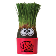 Eye-Grow Planter