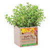 Wooden Cube Blossom Kit