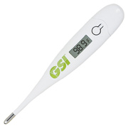 Digital Thermometer