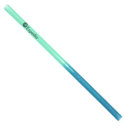 Reusable Mood Straw